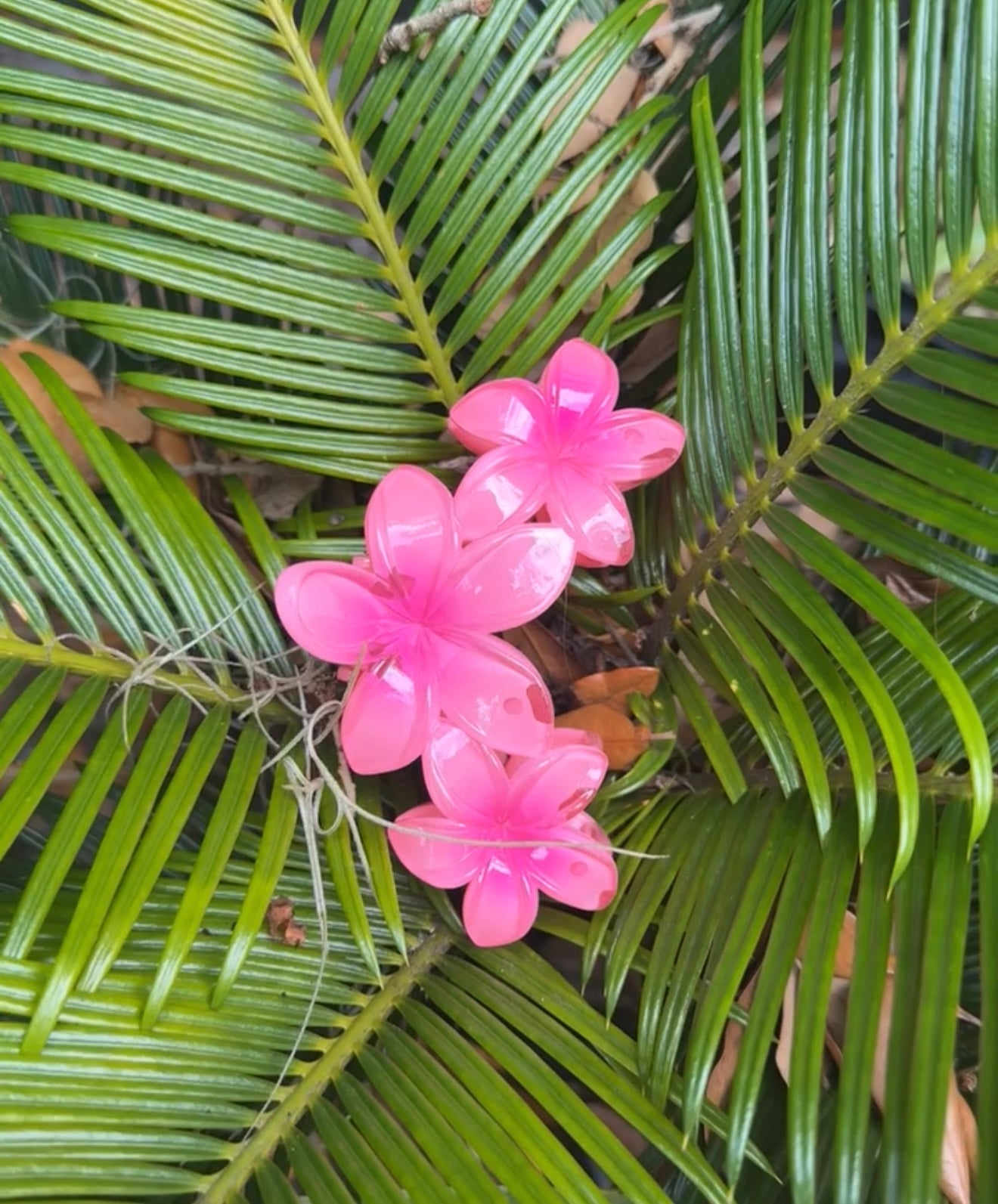 3 PLUMERIAS HAIRCLIP