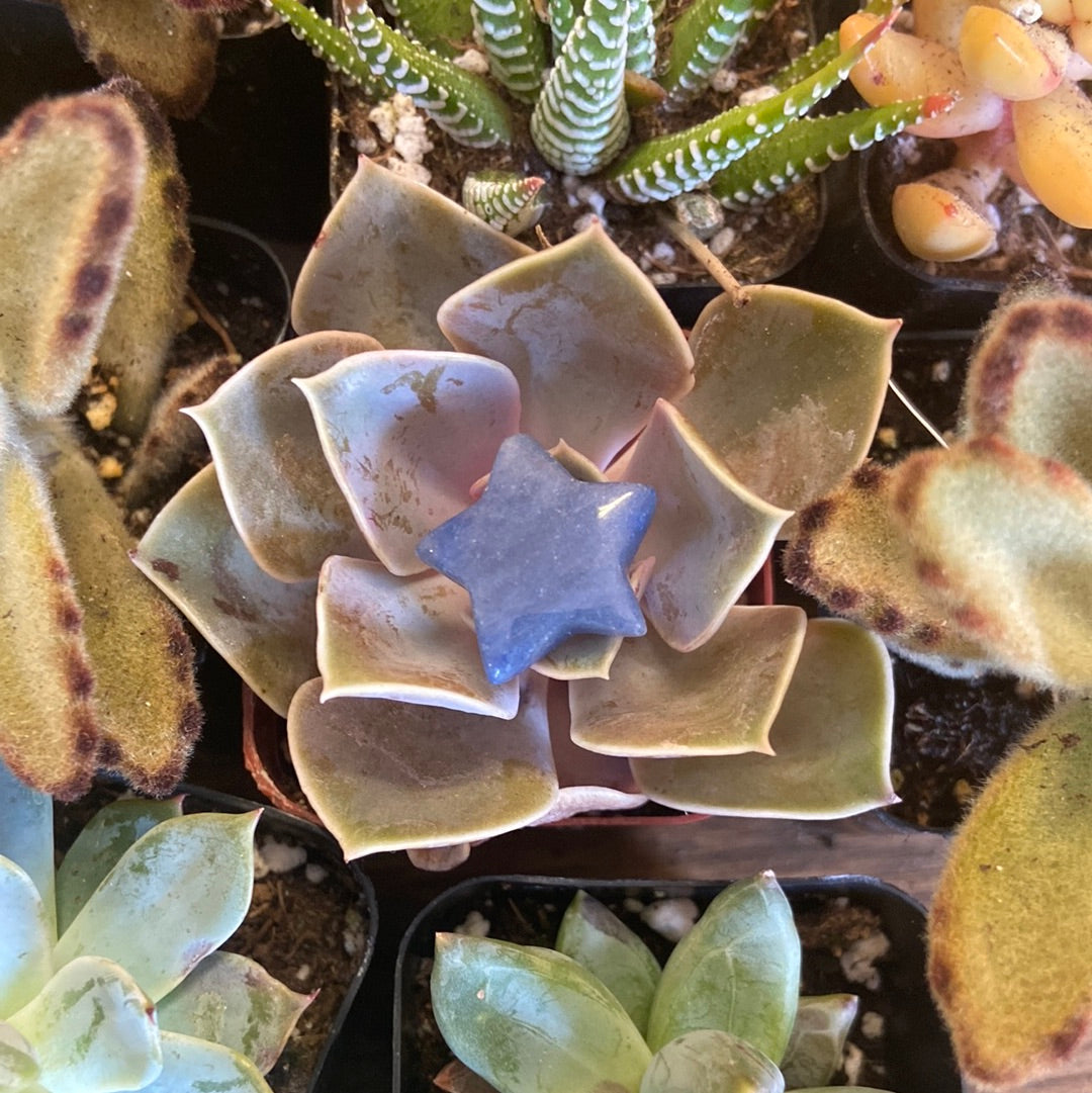 Star and Moon Crystals