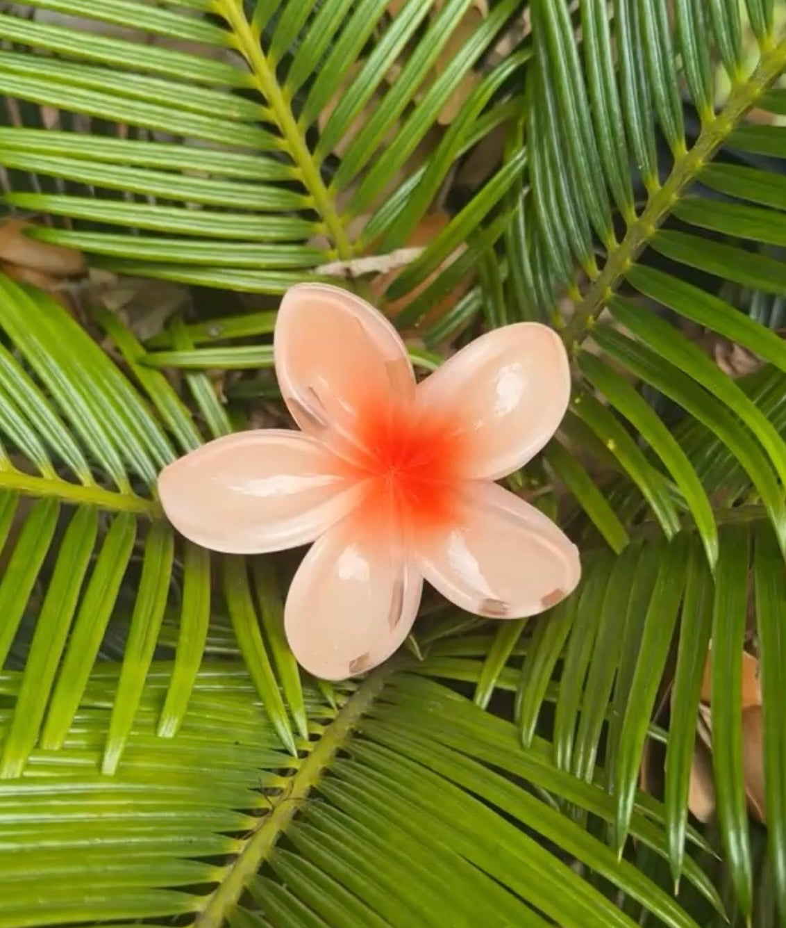 PULMERIA HAIR CLIP