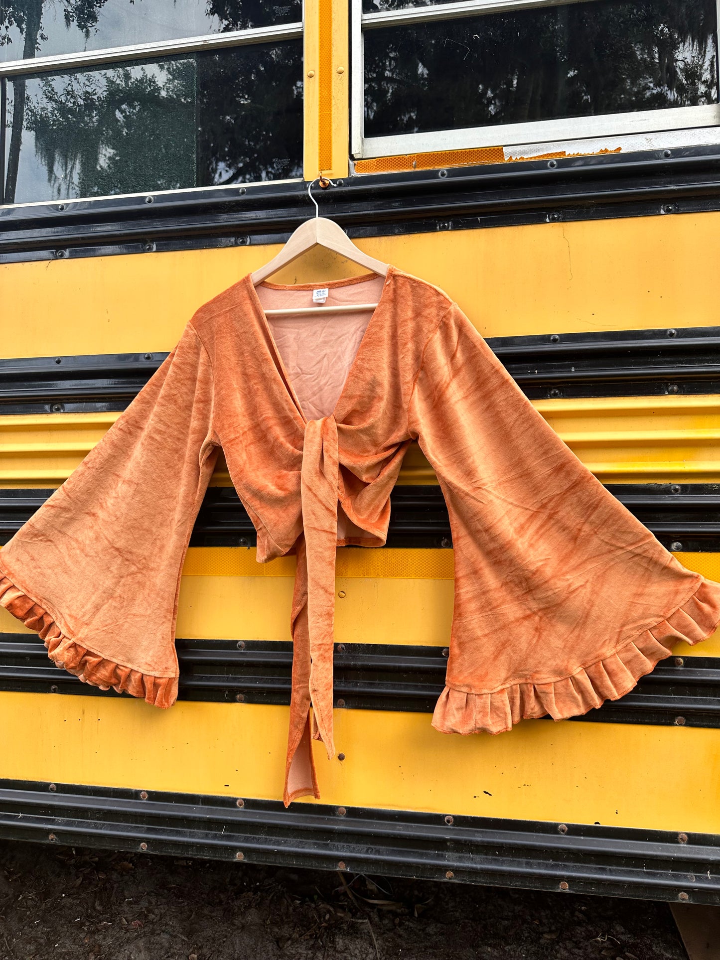 FAIRY DUST VELVET BELLSLEEVE TOP