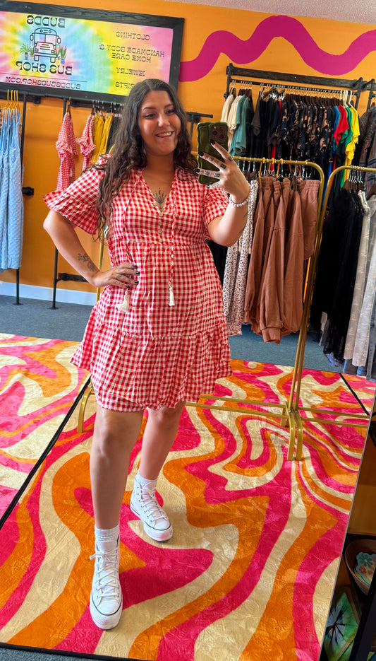 Picnic Red Plaid Dress