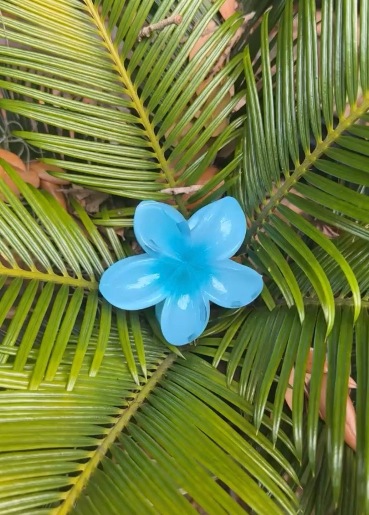 PULMERIA HAIR CLIP