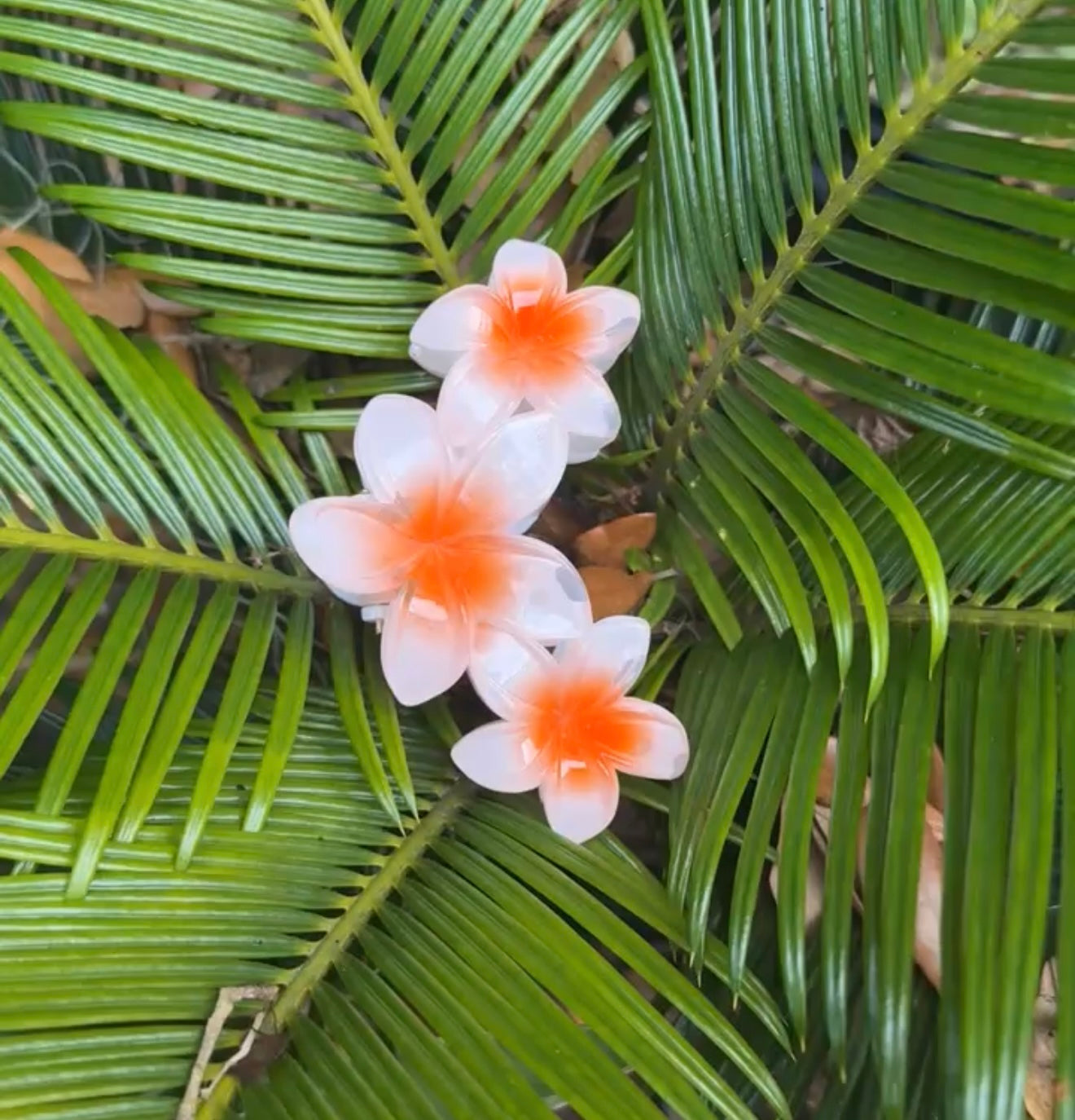 3 PLUMERIAS HAIRCLIP