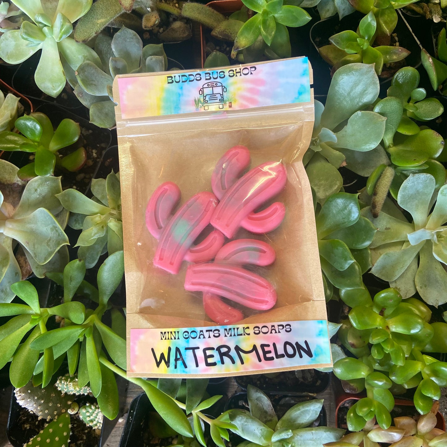 Mini Cacti Soaps