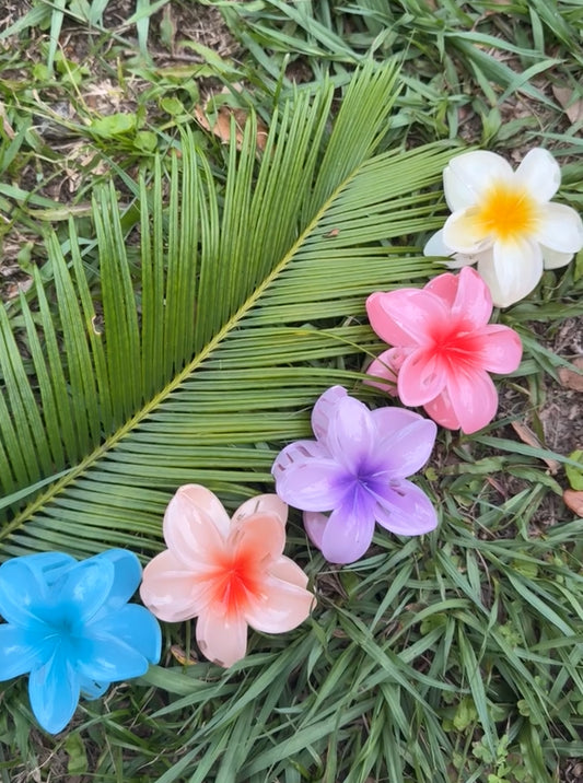 PULMERIA HAIR CLIP