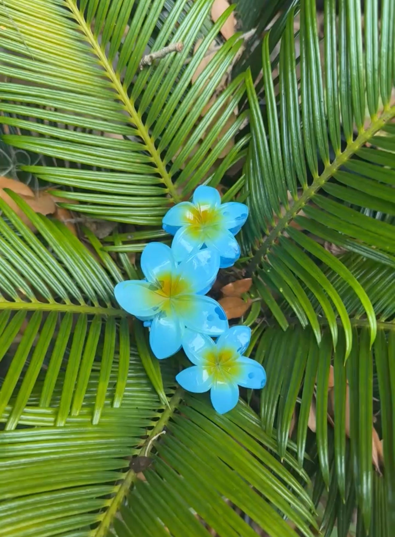 3 PLUMERIAS HAIRCLIP