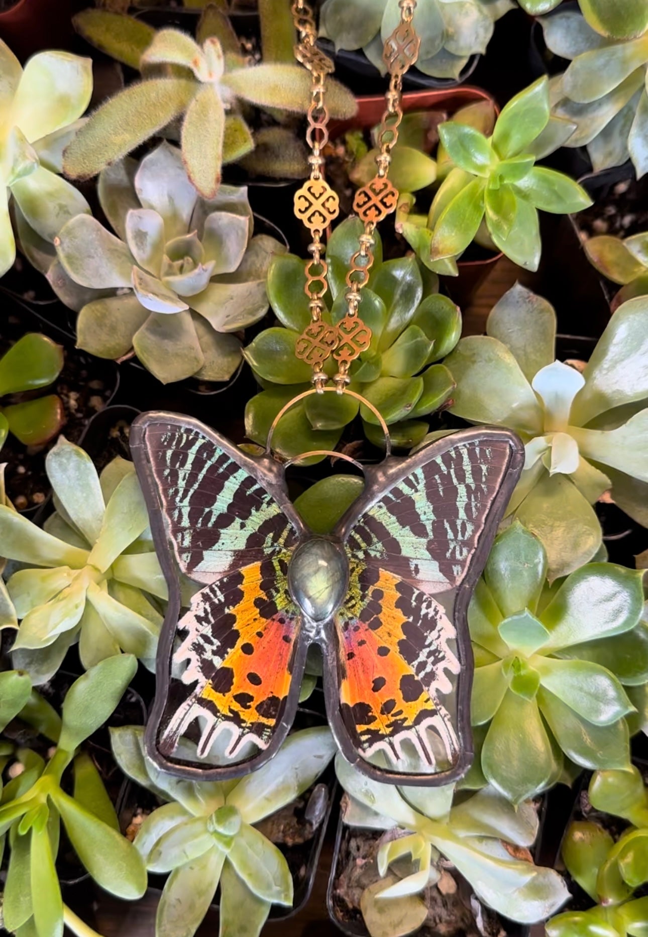 SUNSET MOTH REAL BUTTERFLY WINGS STAINED GLASS ENCASED WITH LABRADORITE STONE BODY