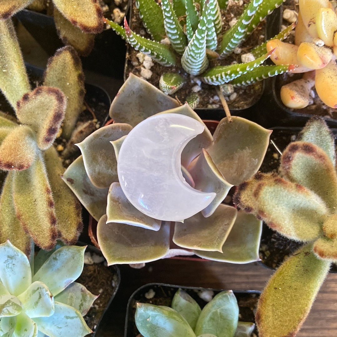 Star and Moon Crystals