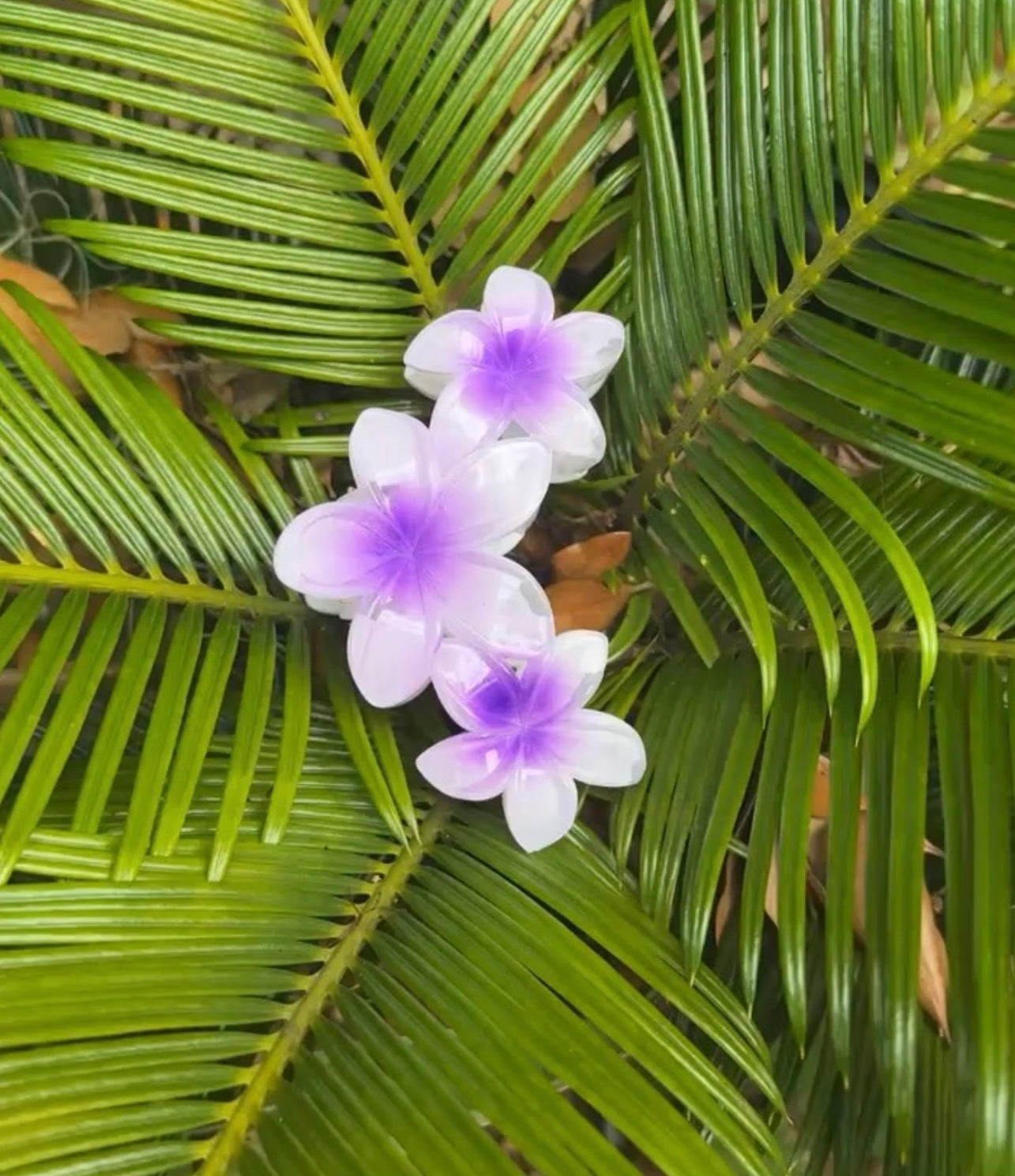 3 PLUMERIAS HAIRCLIP