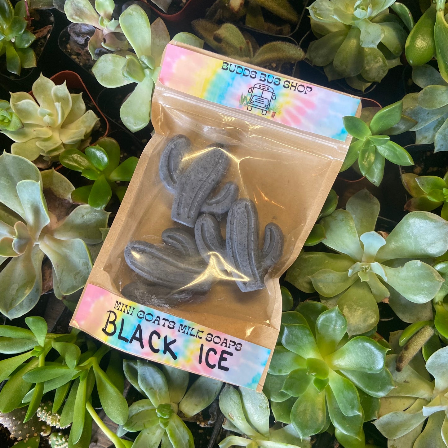 Mini Cacti Soaps