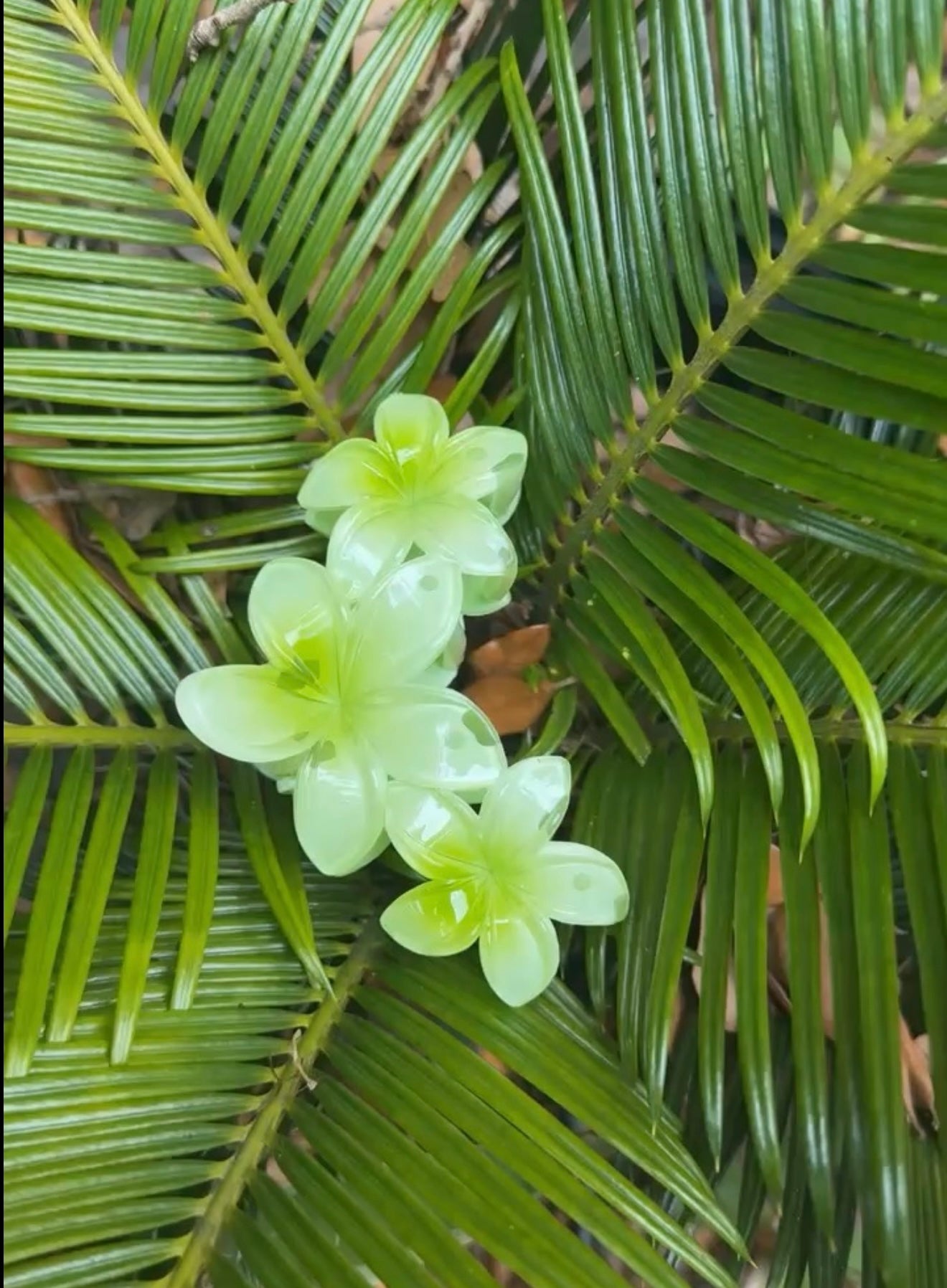 3 PLUMERIAS HAIRCLIP