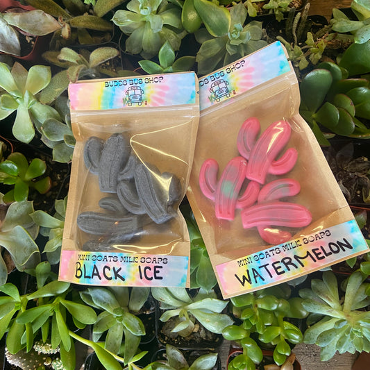 Mini Cacti Soaps