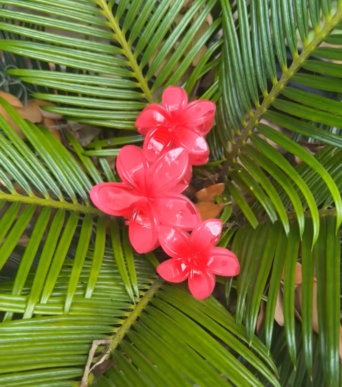 3 PLUMERIAS HAIRCLIP