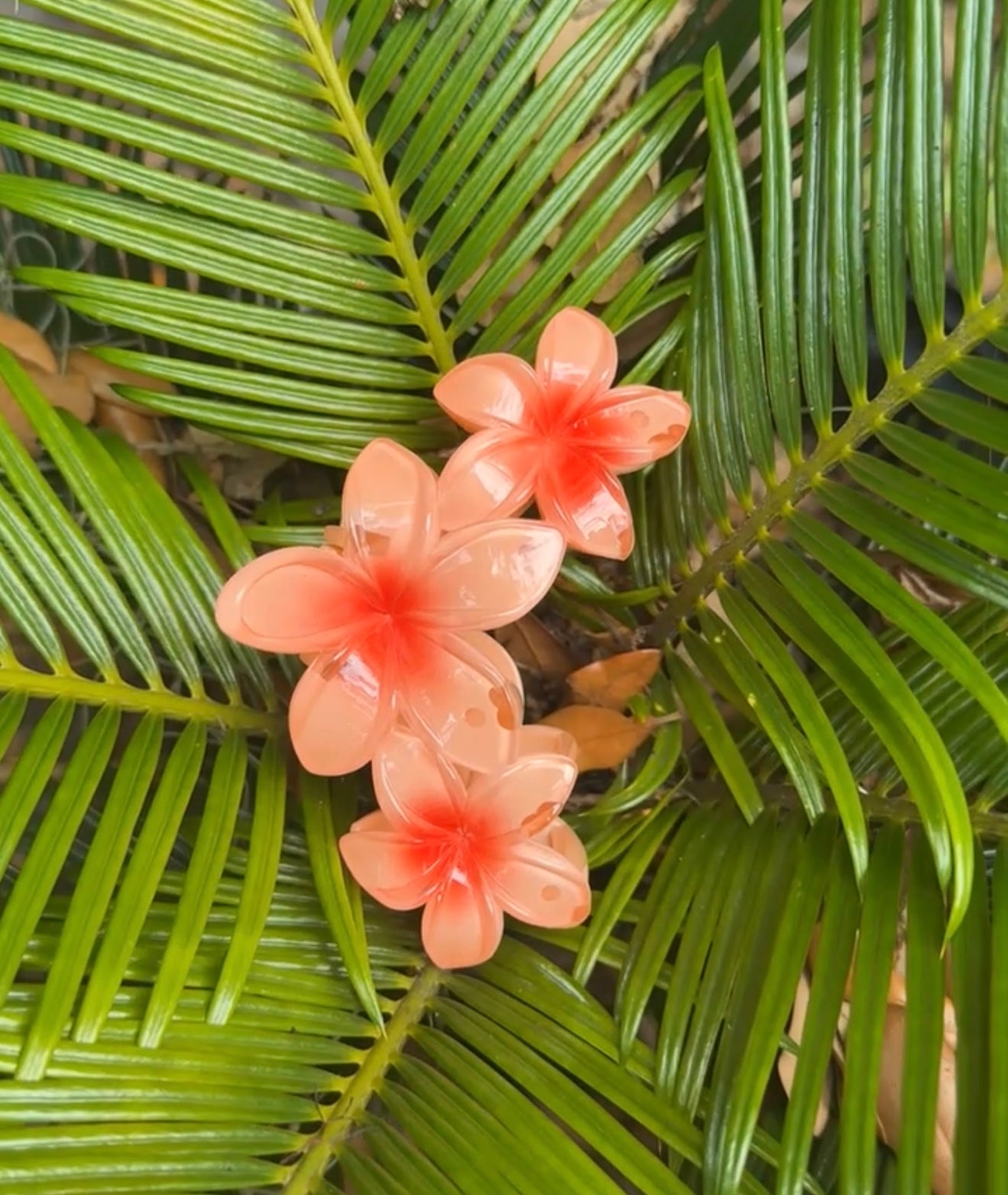 3 PLUMERIAS HAIRCLIP