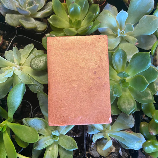 Sandalwood Soap