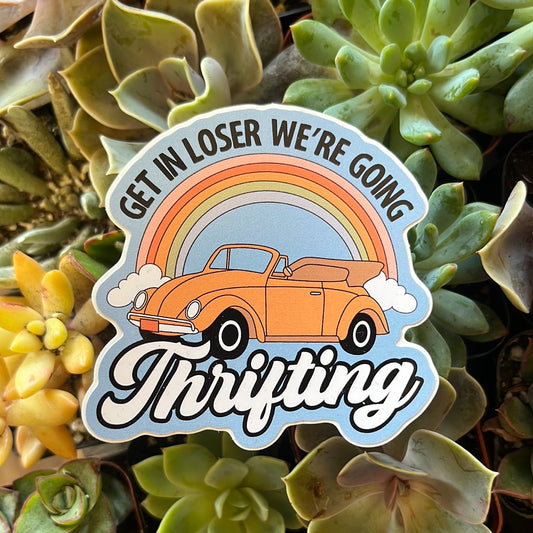GET IN 2 THRIFT LOSER
