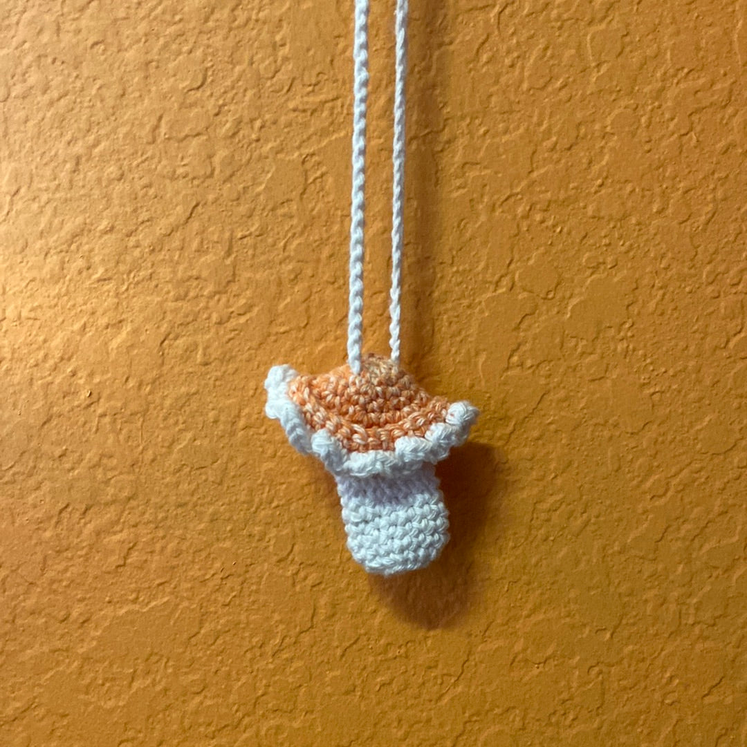 Crochet Mushroom