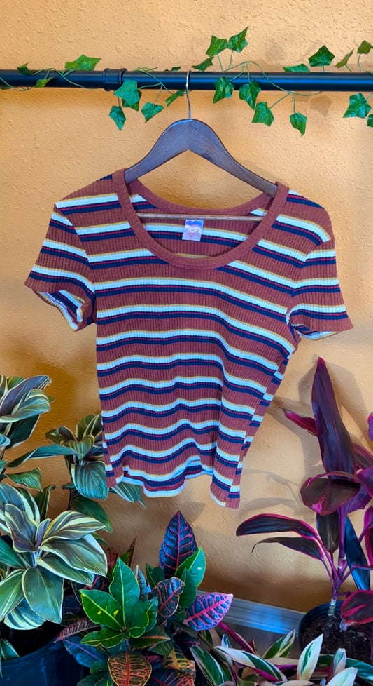 (1X-3X) Striped T-Shirt Crop