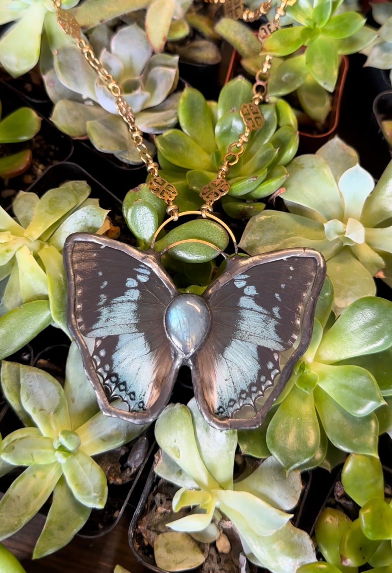 BLUE DREAM B&B LABRADORITE STONE BODY STAINED GLASS ENCASED BUTTERFLY PENDANT🦋