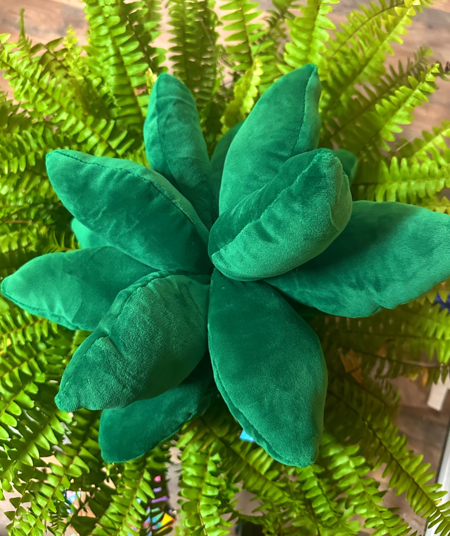 SUCCULENT PILLOW