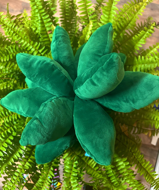 SUCCULENT PILLOW