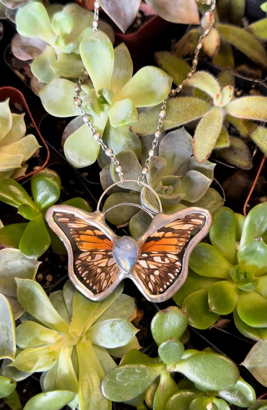DIONE JUNO REAL BUTTERFLY STAINED GLASS PENDANT NECKLACE WITH MOONSTONE BODY