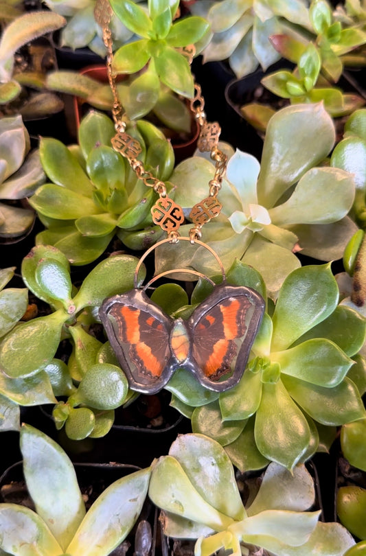 AGLAIF MILBERTI REAL BUTTERFLY ENCASED IN STAINED GLASS WITH LABRADORITE STONE PENDANT NECKLACE