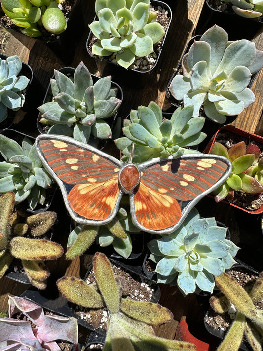 Stained Glass Regal Moth Pendant