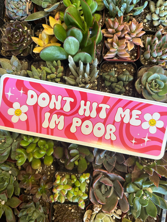 DONT HIT ME IM POOR BUMPER STICKER