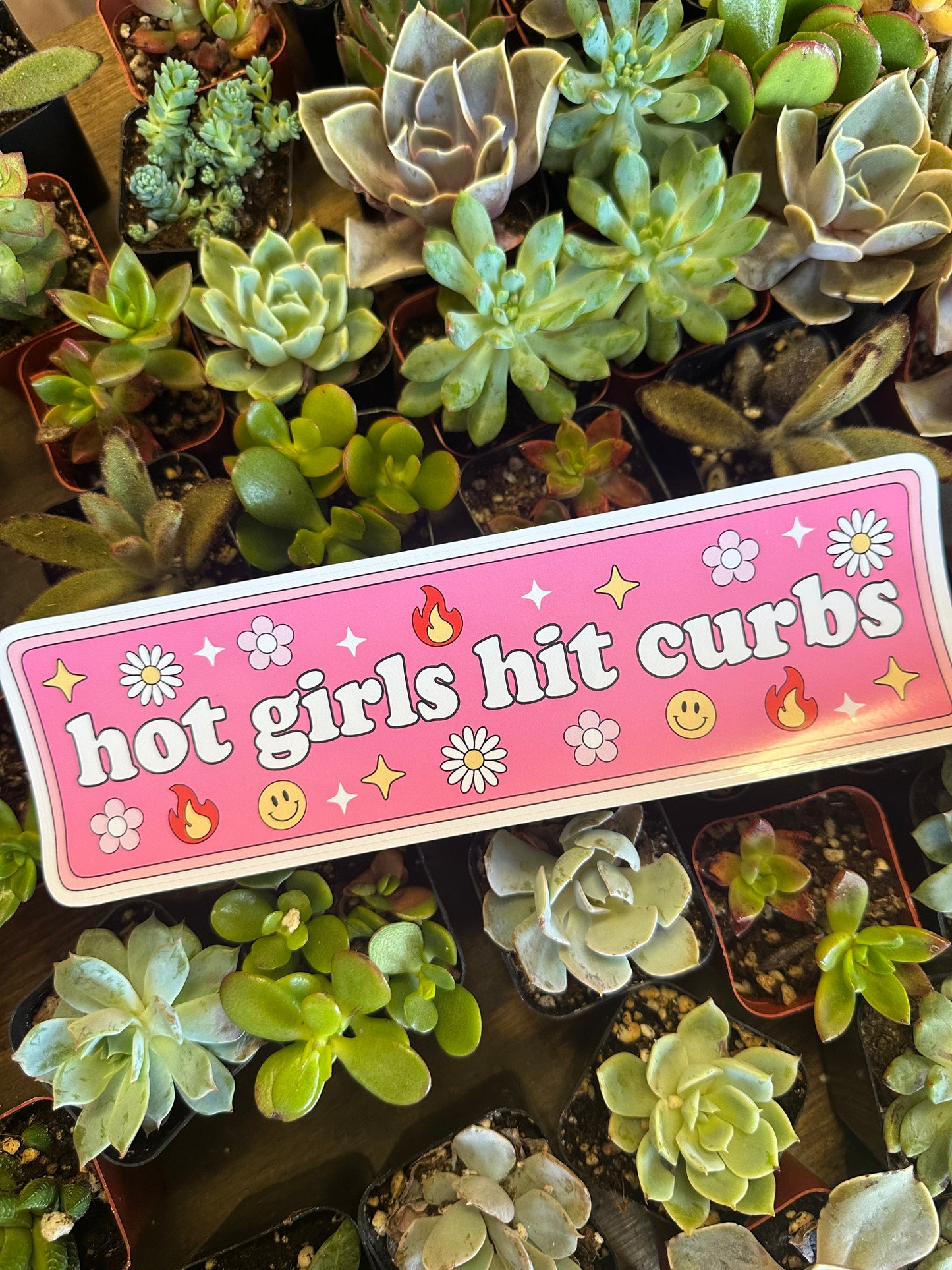 HOT GIRLS HIT CURBS